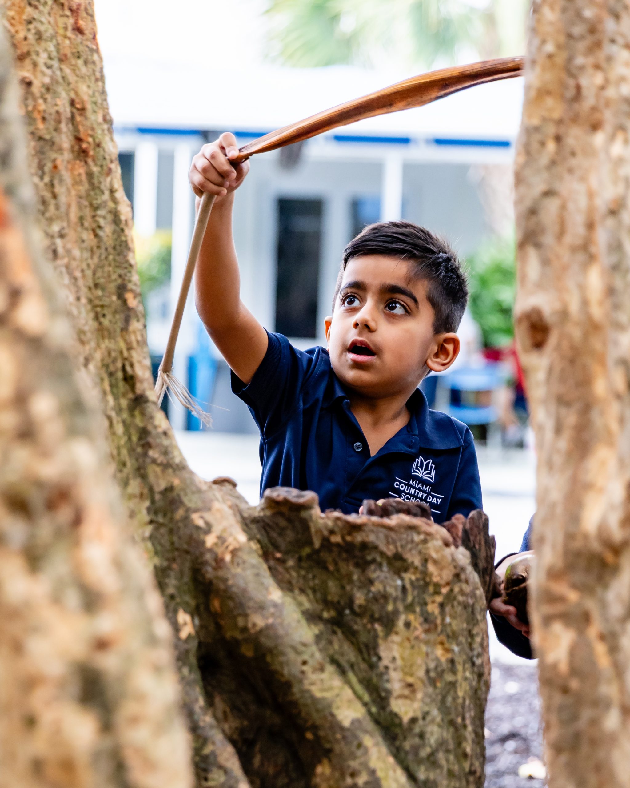 Early Childhood students engaged in an environmental studies lesson
